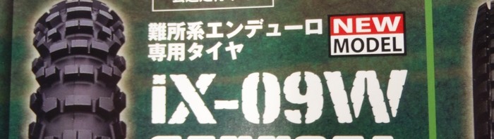 で、ゲコタってどうなったの?