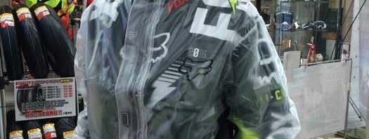 スケルトン