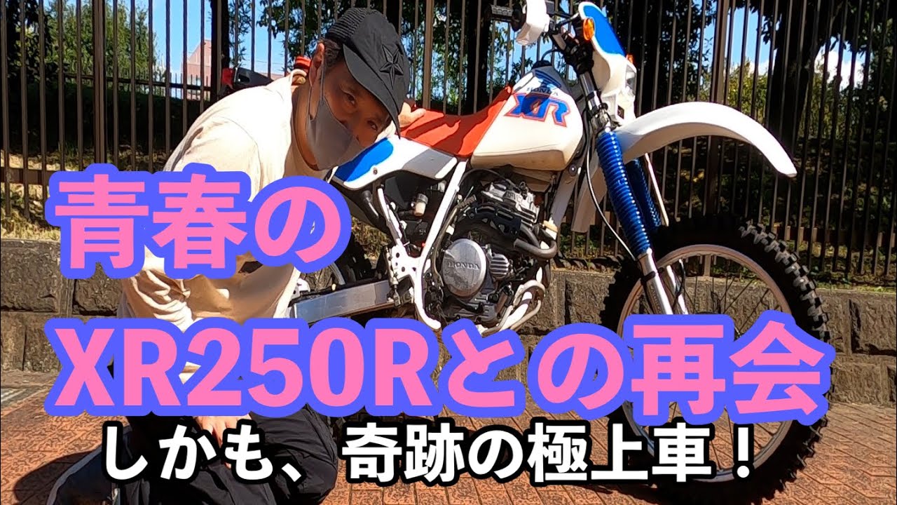 大鶴義丹の他力本願
